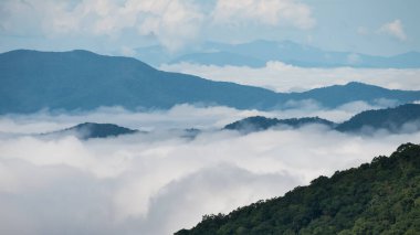 Apalaş Dağları 'nın vadilerinde sisli bir sabah. Blue Ridge Parkway' in manzarası.