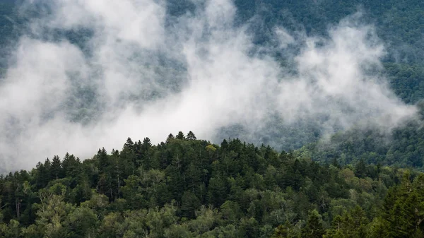 Foggy Πρωινό Στις Κοιλάδες Των Απαλαχίων Ορέων Θέα Από Blue — Φωτογραφία Αρχείου