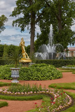 Peterhof Gardens, St. Petersburg Rusya yakın altın heykel