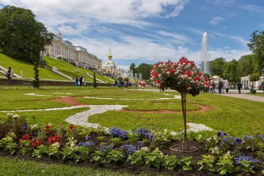 Peterhof Sarayı ve St. Petersburg Rusya yakın bahçelerinin ünlü Simgesel Yapı görünümünü