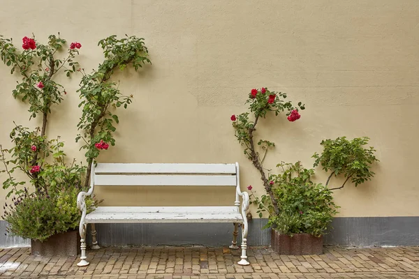 House entrance decorated with flowers. Rustic style concept. Beautiful design elements of unknown building in Vlissengen Netherlands. — Stock Photo, Image