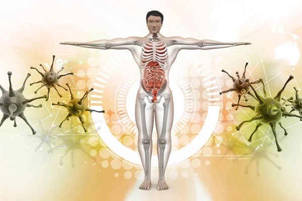 Illustratie Van Menselijke Anatomie Met Virus — Stockfoto