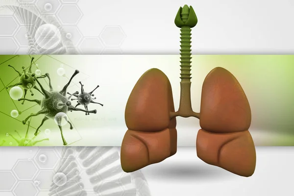 人类肺的3D图像 — 图库照片