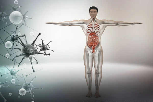 Menschliche Anatomie Mit Virus — Stockfoto