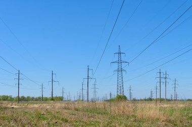 güç hatları kuru ot bir alana