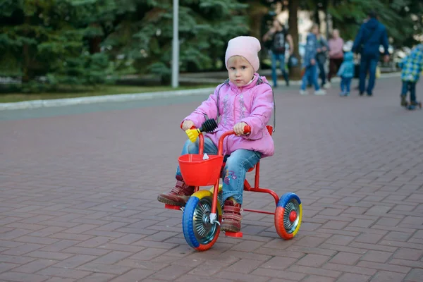 Mała Dziewczynka Kurtce Jest Jazda Parku Trójkołowy — Zdjęcie stockowe