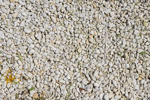 Espalhamento Pequenas Pedras Cor Branca Chão — Fotografia de Stock