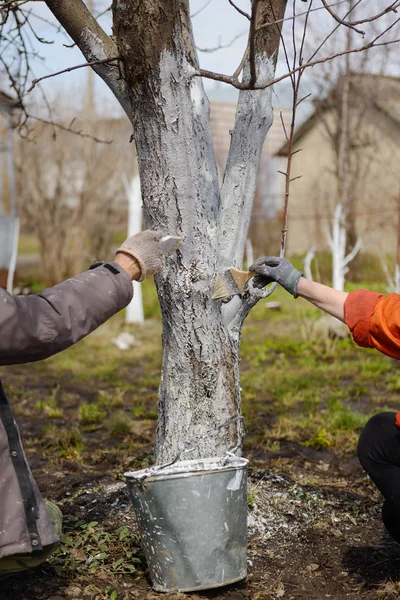 badana fırçaları ile iki el bir ağaç gövdesi