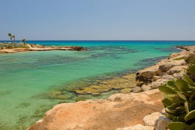 bir kayalık plaj ile defne bir denizde plaj