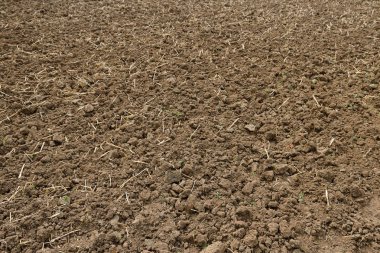 bir bahar gününde sürülmüş arazi ekime hazır