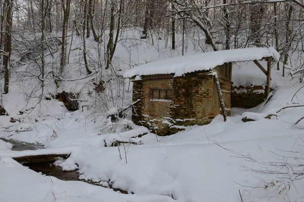 雪に覆われた森の山間の放棄された小屋 — ストック写真