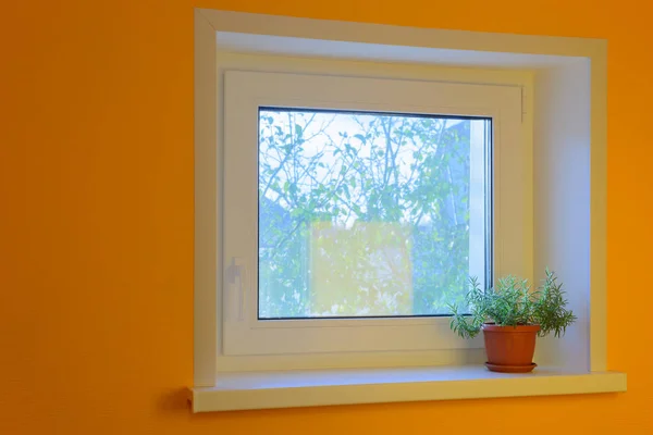 Białe Plastikowe Okna Houseplant Parapecie — Zdjęcie stockowe