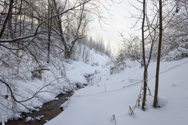 Kış karla kaplı bir dağ geçidi ve bir nehir ormanıyla