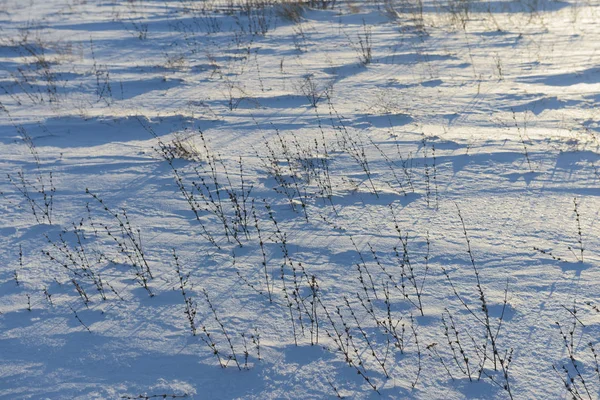 잔디와 Snowdrifts — 스톡 사진