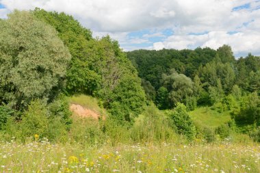 yeşil yemyeşil orman Hills bir açık güneşli yaz gününde