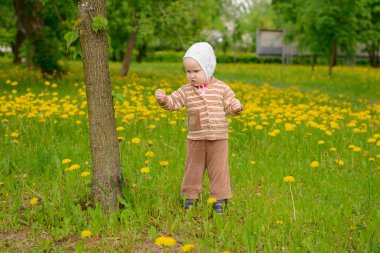Küçük bir çocuk ve bir broşür tutan bir yeşil çayır üzerinde çalışmalar