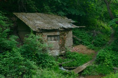 Bir yaz gününde bir ormanın vadisinde terk edilmiş tuğla kulübe