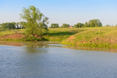 Bir gölet ve ördekler ile Yaz akşamı manzara