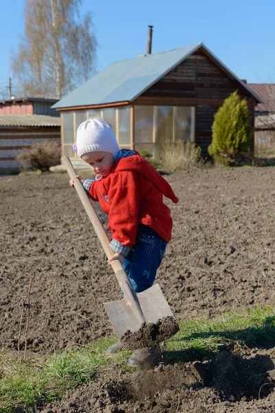 삽을 들고 정원에서 땅을 파는 아이 — 스톡 사진