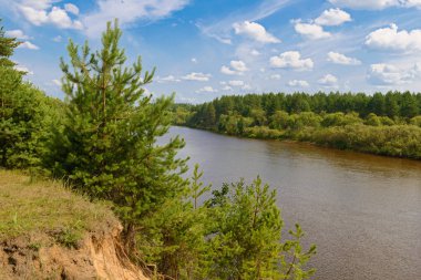 Kıyılarda nehir ve orman tarafından yaz manzara
