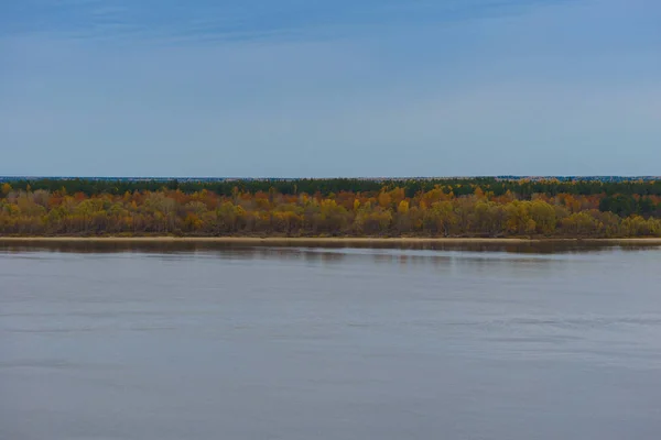 Rive sablonneuse lointaine avec forêt d'automne par un après-midi nuageux — Photo