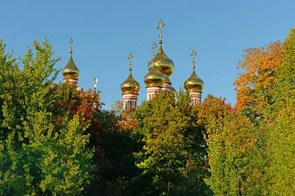 Золотые купола церкви против голубого неба над деревьями — стоковое фото