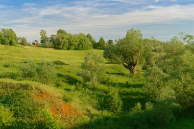 Vadinin yamaçlarında yeşil ağaçlar olan yaz manzarası.