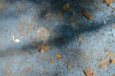 Düz yüzey, mavi boyalı, kuru dallı ve broşürlü.