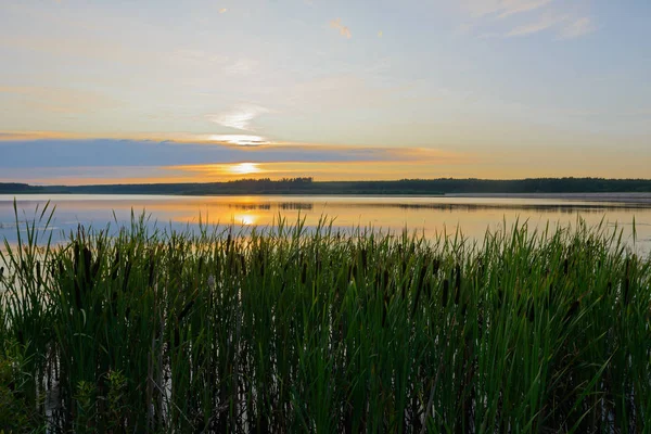 Paysage d'été en soirée avec le soleil couchant sur le lac — Photo