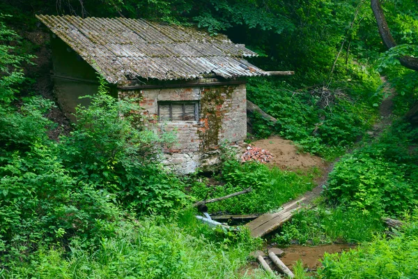 Uma Velha Cabana Abandonada Uma Floresta Verde Perto Uma Primavera — Fotografia de Stock