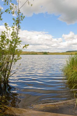 Göl manzaralı ve karşı kıyıya bakan yaz manzarası.