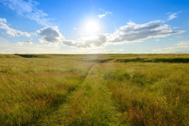 Yeşil tarlalı akşam manzarası, bulutlu mavi gökyüzü ve güneş.