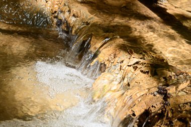 Güneşli bir bahar gününde akan su akıntısı