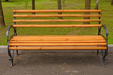 Parkta metal çerçeve ve ahşap tahtalar olan bank.