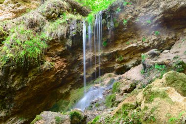 Bir yaz gününde küçük bir orman şelalesi.