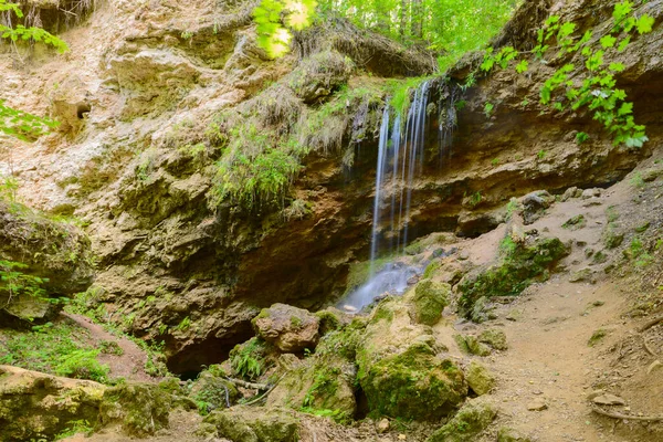 Kleiner Waldwasserfall Einem Sommertag — Stockfoto