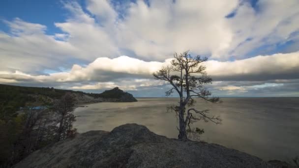 Timelapse Καλοκαίρι Λίμνη Βαϊκάλη Peschanaya Κόλπος — Αρχείο Βίντεο