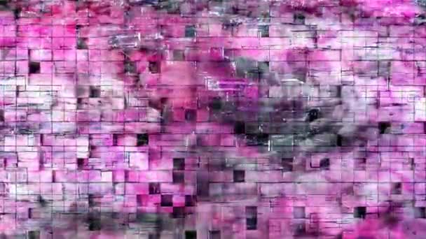 Vlnitá růžová geometrie a abstraktní kostka cihly vzor - 4k Bezešvé smyčka pohybu na pozadí animace — Stock video