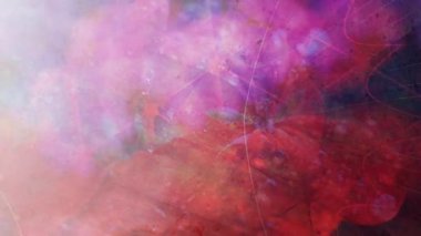 Basit Bulanık Pembe Halüsinojenik Rüya Dokusu- 4k Kusursuz Döngü Döngüsü Arkaplan Animasyonu