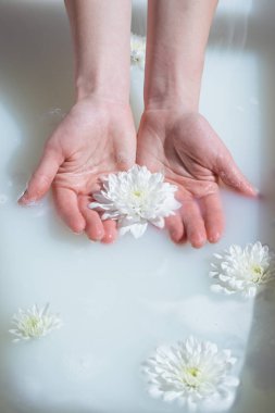 köpük ile doğal bir süt banyosu kadın ellerde fotoğraf yakın çekim beyaz çiçek