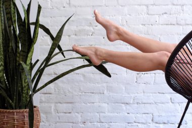 beyaz bir tuğla duvar ve yeşil bitkinin arka planda çıplak güzel kadın bacakları fotoğraf