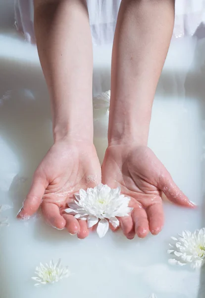 photo two female hands holding white flower in a milk bath with foam