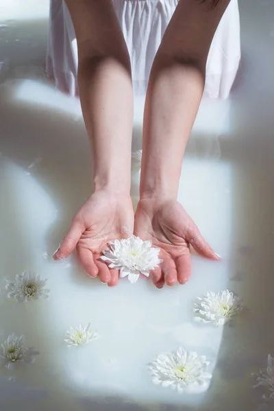 photo two female hands holding white flower in a natural milk bath with foam