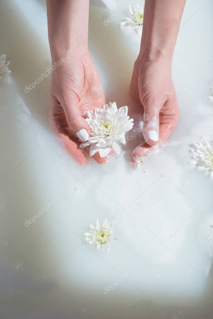 photo female hands holding white flower in a milk bath with foam