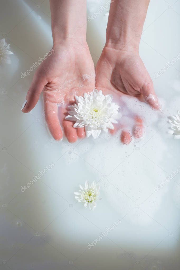 photo well-groomed female hands holding a white flower in the milk water with foam