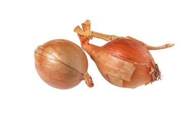 İki küçük soğan soğanı beyaz arkaplan dokusuna izole edilmiş.