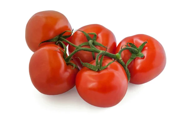 Frische Bio Boden Tomaten Auf Zweig Isoliert Auf Weißer Nahaufnahme — Stockfoto