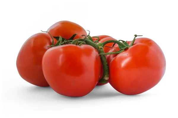 Frische Bio Boden Tomaten Auf Zweig Isoliert Auf Weißer Nahaufnahme — Stockfoto