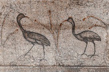 M.Ö. 5. yüzyılın zemin mozaiği. Ekmek ve balıkların çoğaltıldığı kilisede, Tabgha, İsrail.