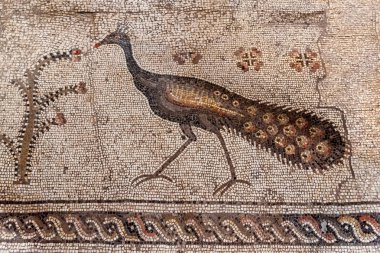 floor mosaic of the fifth century AD in the church of the Multiplication of the loaves and fishes, Tabgha, Israel clipart